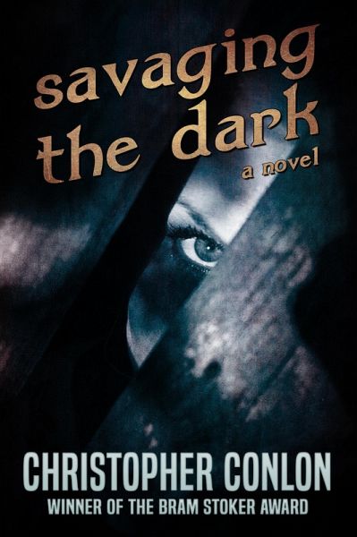 Savaging the Dark (eBook, ePUB)