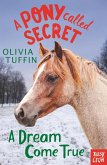 A Pony Called Secret: A Dream Come True (eBook, ePUB)