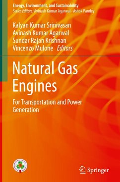 Natural Gas Engines