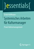 Systemisches Arbeiten für Kulturmanager (eBook, PDF)