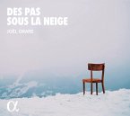 Des Pas Sous La Neige