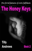 The Honey Keys - Book 2 (eBook, ePUB)