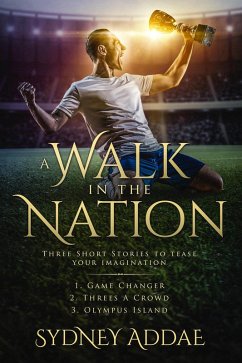 Cover A Walk in the Nation (eBook, ePUB)