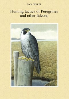 Hunting Tactics of Peregrines and other Falcons - Dekker, Dick