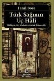Türk Saginin Üc Hali