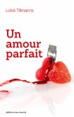 Un amour parfait (eBook, ePUB)