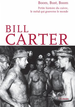 Boom, Bust, Boom (eBook, ePUB) - Carter, Bill