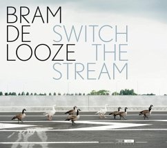 Switch The Stream - De Looze,Bram/Maene,Chris