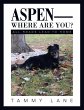 Aspen-Where Are You? - Bild 1