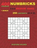 NUMBRICKS 400 puzzles 9 x 9 MEDIUM - HARD + BONUS 250 LABYRINTH 25 x 25: Sudoku Medium - Hard levels puzzles and Labyrinth very hard levels