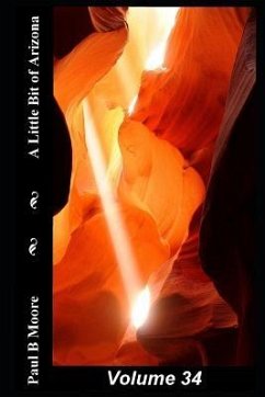 A Little Bit of Arizona: Volume 34 - Moore, Paul