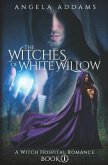 The Witches of White Willow: A Witch Hospital Romance