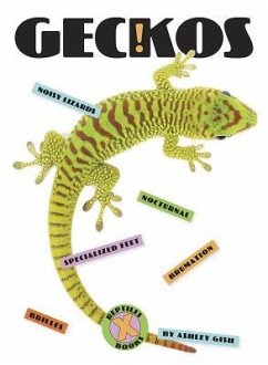 Geckos - Gish, Ashley