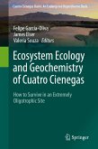 Ecosystem Ecology and Geochemistry of Cuatro Cienegas (eBook, PDF)