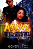 Above the Crowd: Book #9