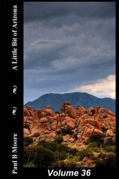 A Little Bit of Arizona: Volume 36 - Moore, Paul