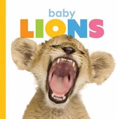 Baby Lions - Riggs, Kate