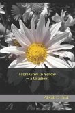 From Grey to Yellow ─ a Gradient