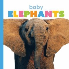 Baby Elephants - Riggs, Kate