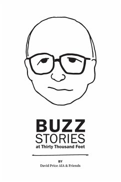 Buzz Stories at Thirty Thousand Feet - Price, David A.