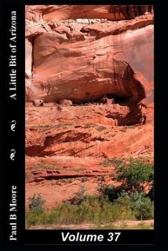 A Little Bit of Arizona: Volume 37 - Moore, Paul