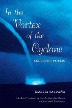 Cover In the Vortex of the Cyclone
