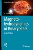 Magnetohydrodynamics in Binary Stars (eBook, PDF)