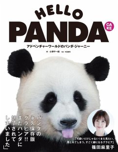 Hello Panda Cake - Ozawa, Senichiro