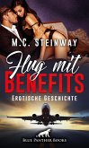 Flug mit Benefits   Erotische Geschichte (eBook, PDF)