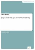 Jugendstrafvollzug in Baden-Württemberg (eBook, PDF)
