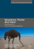 Ignorance, Power and Harm (eBook, PDF)