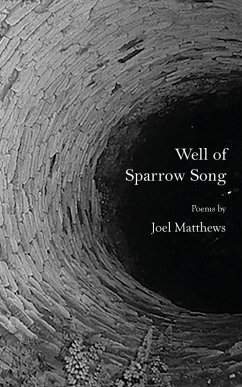 Well of Sparrow Song - Matthews, Joel