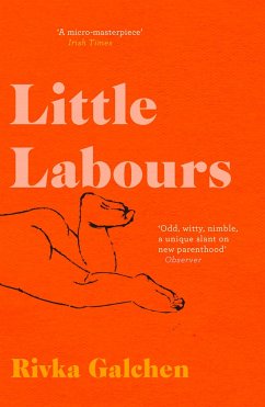 Little Labours - Galchen, Rivka