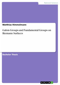 Galois Groups and Fundamental Groups on Riemann Surfaces (eBook, PDF) - Himmelmann, Matthias