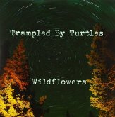 Wildflowers Wildflowers