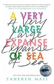 A Very Large Expanse of Sea (eBook, ePUB)