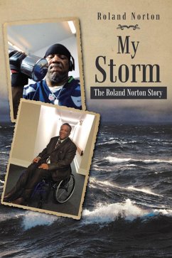 Cover My Storm (eBook, ePUB)