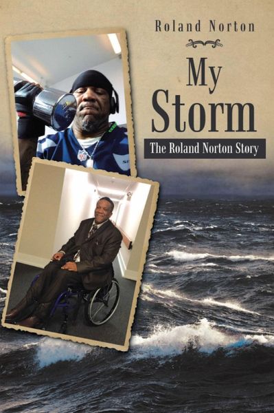 My Storm (eBook, ePUB)