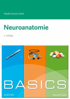 Basics Neuroanatomie eBook (eBook, ePUB) - Garzorz-Stark, Natalie