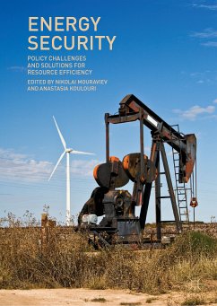 Energy Security (eBook, PDF)