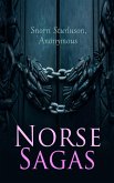 Norse Sagas (eBook, ePUB)