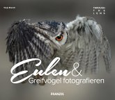 Eulen & Greifvögel fotografieren (eBook, ePUB)