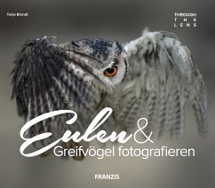Eulen & Greifvögel fotografieren (eBook, ePUB) - Brandt, Tanja