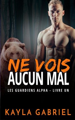 Ne vois aucun mal (eBook, ePUB) - Gabriel, Kayla