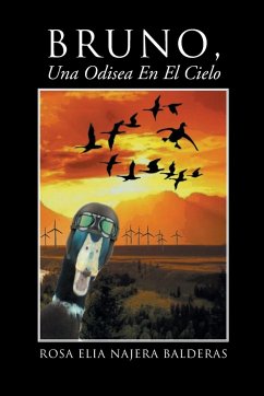 Bruno Una Odisea En El Cielo - Najera Balderas, Rosa Elia