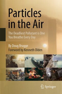 Particles in the Air (eBook, PDF) - Brugge, Doug