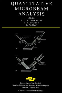 Cover Quantitative Microbeam Analysis (eBook, PDF)