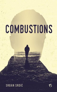 Cover Combustions (eBook, ePUB)