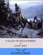 Valley of Wild Horses (eBook, ePUB) - Bild 1