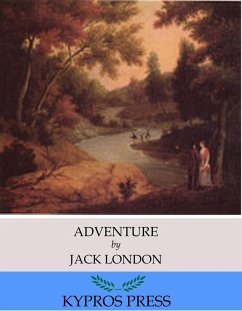 Cover Adventure (eBook, ePUB)